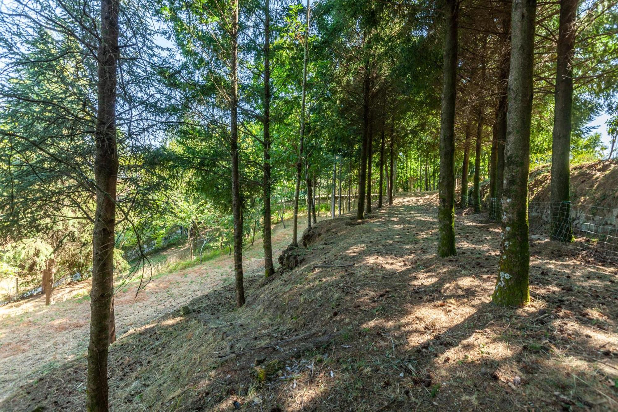 Villas Prendal Eco Living - Minho'S Guest غيمارايش المظهر الخارجي الصورة
