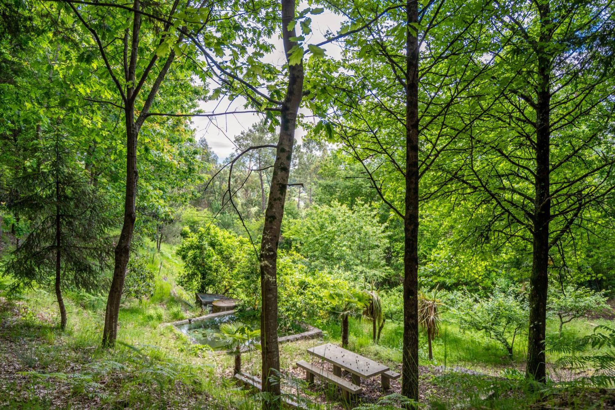 Villas Prendal Eco Living - Minho'S Guest غيمارايش المظهر الخارجي الصورة